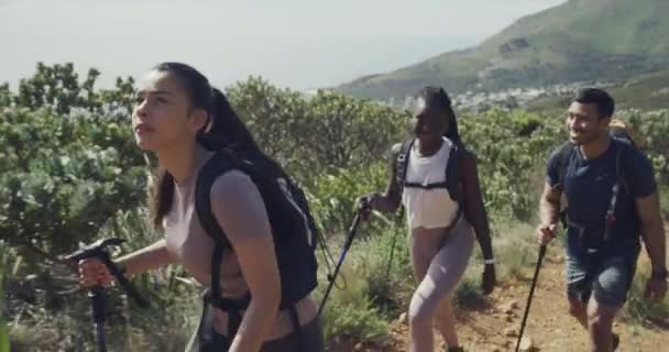 Trekking Natureza Fitness Pessoas Caminham Viagem Matinal Exercício Cardio Montanhismo — Vídeo de Stock