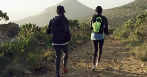 Femmes Fitness Course Sur Sentier Dans Nature Entraînement Exercice Cardio — Video