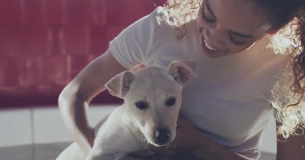 Umarmung Tierheim Und Frau Engagieren Sich Mit Hund Für Ein — Stockvideo