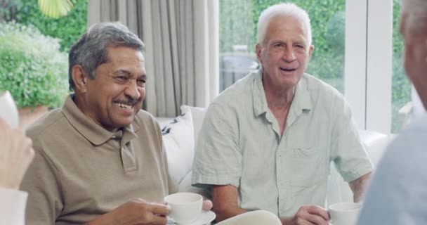 Riendo Conversando Amigos Mayores Sofá Relajándose Uniéndose Bebiendo Juntos Casa — Vídeo de stock