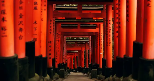 Japan, red torii gates and path in Fushimi inari-taisha for vacation, holiday or walkway for tourism. Pathway, Shinto religion and shrine in Kyoto for traditional architecture or spiritual culture.