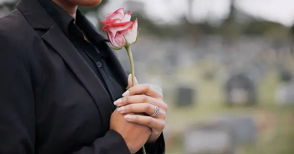 Funeral, cemetery and person with rose sad for remembrance, burial ceremony and memorial service. Depression, death and woman with flower on gravestone for mourning, grief and loss in graveyard.