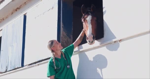 Pielęgniarka Kobieta Koń Troską Farmie Dotykiem Uśmiechem Szczęśliwy Pomoc Miłości — Wideo stockowe