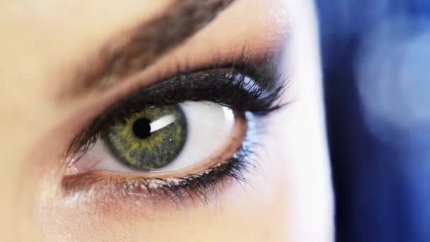 Pessoa Maquiagem Para Olhos Cosméticos Para Beleza Close Glamour Grooming — Vídeo de Stock