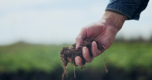 Hand Bodem Inspectie Het Land Voor Duurzame Aanplant Kwaliteitsborging Landbouw — Stockvideo