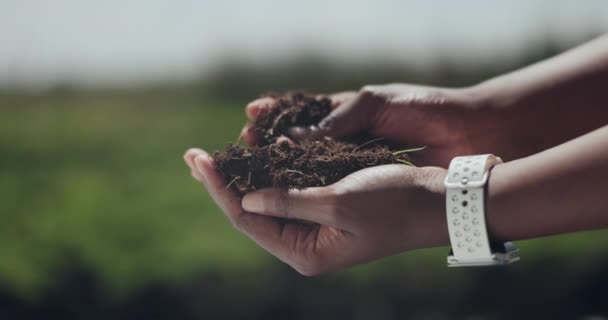 Hand Boden Und Inspektion Auf Dem Land Für Pflanzenwachstum Oder — Stockvideo
