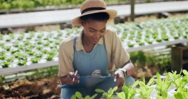 Kadın, tarım ve sera bitkileri için tarım, sürdürülebilirlik ve büyüme veya kalite kontrolü panosu. Yapılacaklar listesine sahip Afrikalı çiftçi, sebze üretimi ve denetimi hakkında notlar yazıyor..