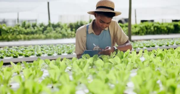 Rolnik Inspekcje Rolnicze Szklarnie Dla Rolnictwa Zrównoważony Rozwój Wzrost Lub — Wideo stockowe