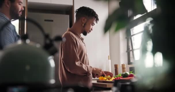 Gej Para Gotowanie Jedzenie Przytulić Kuchnia Miłość Więź Razem Lgbtq — Wideo stockowe