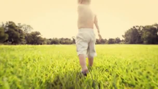 Powrót Wzrost Mały Chłopiec Działa Trawie Podnieceniu Przygody Odkrywania Lub — Wideo stockowe