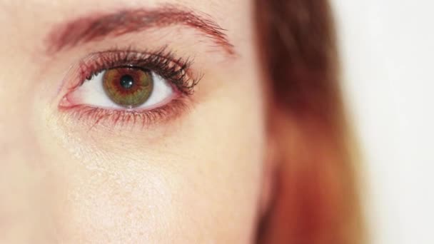 Optometría Mujer Visión Primer Plano Con Cuidado Ocular Evaluación Evaluación — Vídeos de Stock