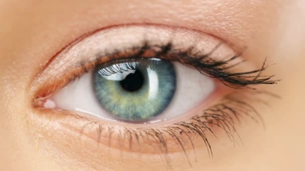 隐形眼镜和视力与变焦和光学 健康和健康与睫毛 蓝色和绿色虹膜 视网膜 视力及眼科皮肤 睫毛及眼科 — 图库视频影像
