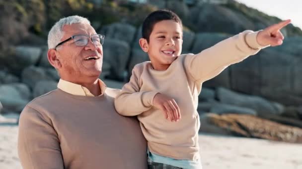 Çocuk Kumsalda Büyükbabayı Göstererek Sevgiyle Konuşuyor Yaz Tatilinde Oynamaktan Mutluluk — Stok video