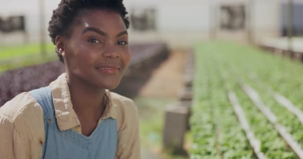 面部和温室农民到田里进行可持续的商业视察 质量保证或园艺 促进农业或农村可持续性的黑人 微笑和蔬菜生长土壤 — 图库视频影像
