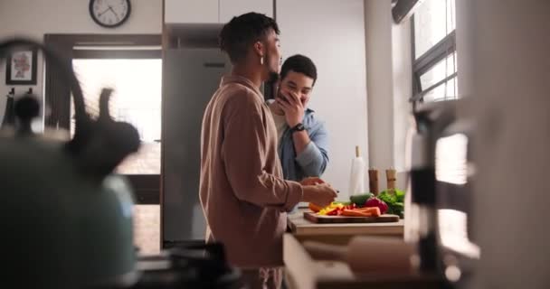 Muž Gay Pár Krájení Zeleniny Jídlo Vaření Nebo Přípravu Jídla — Stock video
