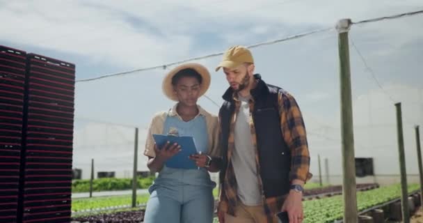 Schránka Zemědělství Lidé Diskusi Farmě Pro Kontrolu Kvality Výzkum Nebo — Stock video
