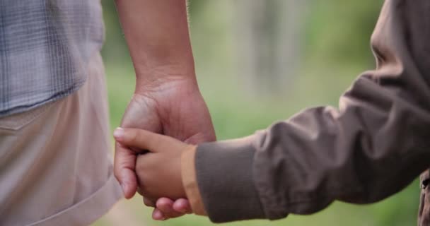 Kézen Fogva Szülő Vagy Gyermek Túrázás Erdőben Hogy Pihenjen Nyaralás — Stock videók