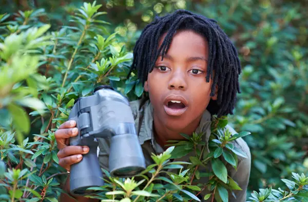 Nature Trees Binocular Child Surprise Discovery Adventure Outdoor Exploration Bird — Stock Photo, Image