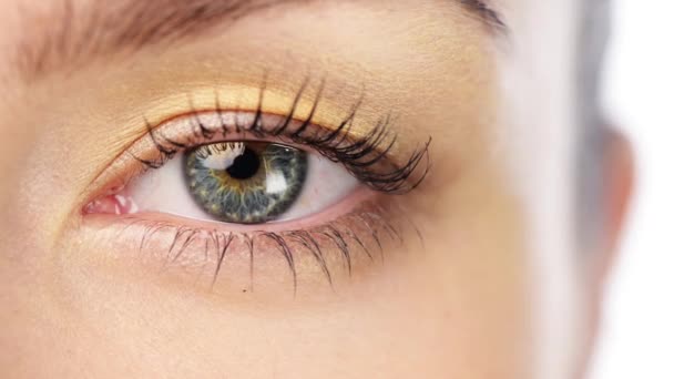 女性的眼睛 隐形眼镜和视力 以及光学特写 瞳孔或视网膜白底 在工作室 化妆品和焦点中 具有健康和健康的睫毛 美感和视力 — 图库视频影像