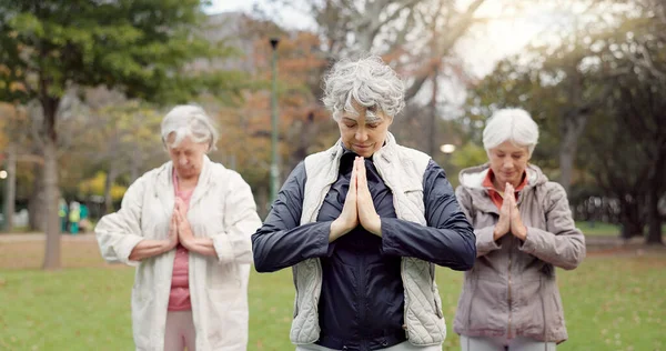 Health, park and elderly women stretching, yoga and exercise for wellness, retirement and pilates training. Female people, senior club or group outdoor, meditation and workout with self care or peace.