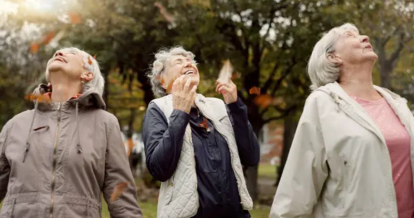 Старшие Женщины Друзья Бросать Листья Комической Игры Играть Счастливы Вместе — стоковое фото