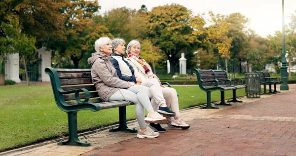 Happy, senior friends and walking together on an outdoor path or relax in nature with elderly women in retirement. People, talking and sitting for conversation on a park bench in autumn or winter.