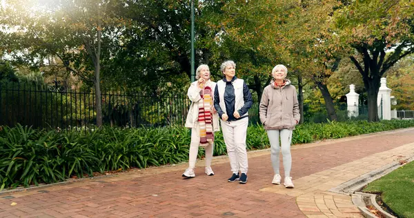 Senior friends, walking and talking together on an outdoor path to relax in nature with elderly women in retirement. People, happy conversation and healthy exercise in the park in autumn or winter.