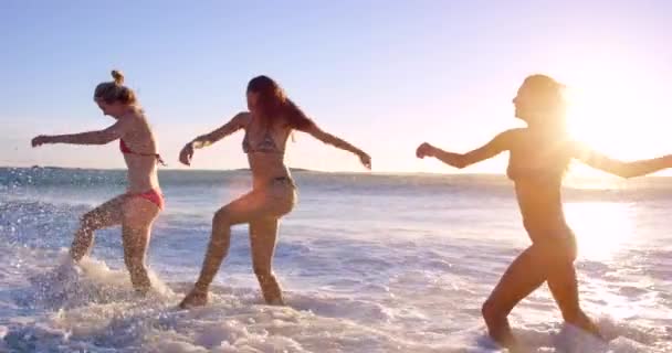 Freunde Frauen Und Spielen Ozean Bei Sonnenuntergang Freiheit Und Bindung — Stockvideo