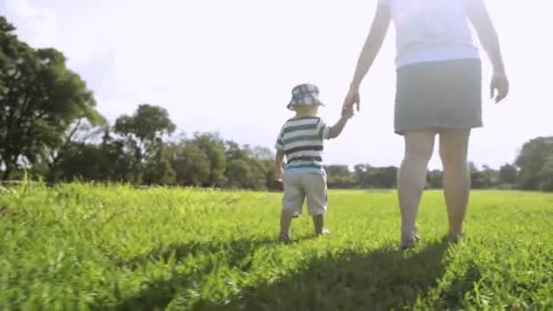 Trzymanie Się Ręce Matka Dziecko Polu Zacieśnianie Więzi Dla Miłości — Wideo stockowe