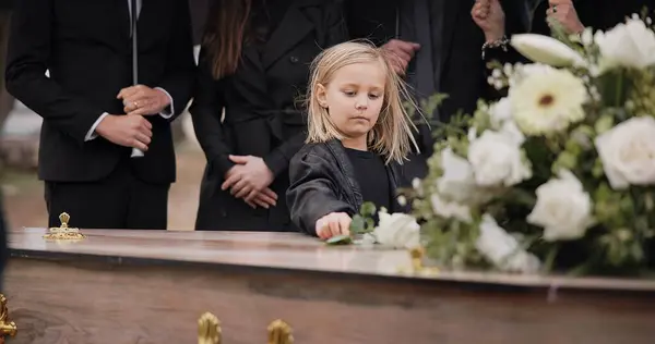 Death, grief and girl at funeral with flower on coffin, family and sad child at service in graveyard for respect. Roses, loss and people at wood casket in cemetery with kid crying at grave for burial.