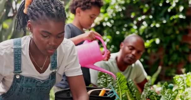 Baharda Siyahi Ailelerle Bahçecilik Büyüme Yeşillik Boş Zaman Hobi Açık — Stok video