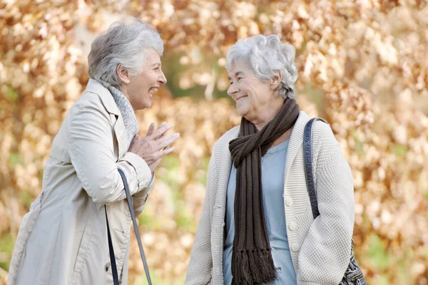 Oudere Vrouwen Lachen Praten Het Park Door Herfst Bladeren Samen — Stockfoto
