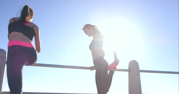 Women Stretching Body Beach Training Fitness Wellness Support Exercise Boardwalk — Stock Video