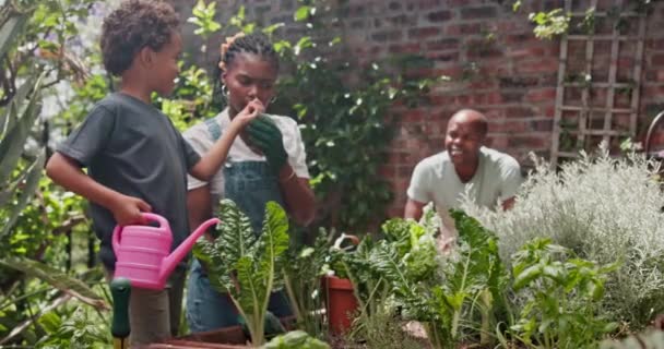 Kind Familie Tuinieren Leren Van Planten Water Geven Groeien Voor — Stockvideo