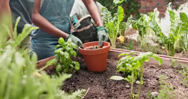 Personas Manos Suelo Patio Trasero Con Jardinería Para Sostenibilidad Crecimiento — Vídeos de Stock