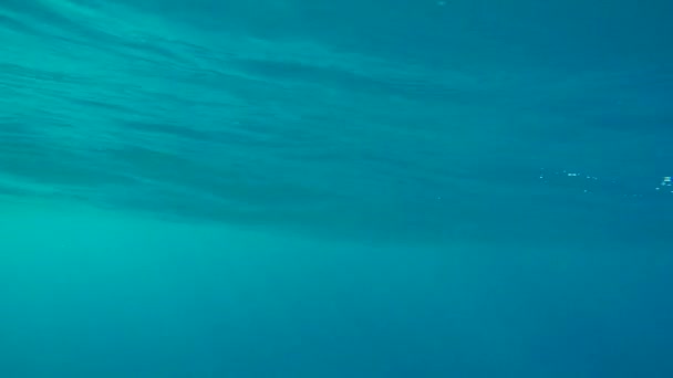 休暇や休暇の水泳のための海洋の青 冒険と観光と海洋エコシステムのための地球 液体と海の波 逃避のための水中海岸で日光を浴びる — ストック動画