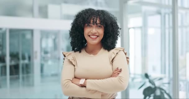 Cara Sonrisa Mujer Negocios Con Los Brazos Cruzados Empleado Creativo — Vídeos de Stock