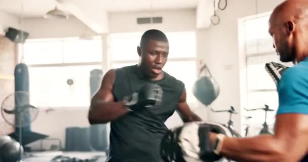 Hommes Boxe Entraîneur Personnel Salle Gym Pour Remise Forme Entraînement — Video