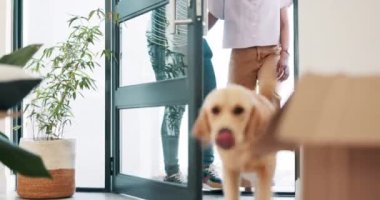 Taşınmak, kutular ve yeni evlerinde köpeği olan çiftler birlikte yatırım yapmak için. Erkek, kadın ve evlilik, emlak ve ipotek ile heyecan dolu Labrador ev içinde büyüme, tasarruf ve mülkiyet için