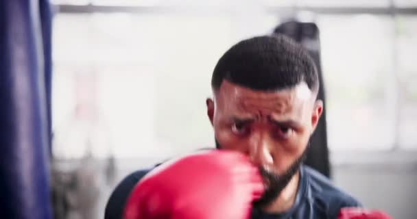 Черный Человек Боец Боксерские Перчатки Самообороне Мма Боевые Искусства Тренировки — стоковое видео