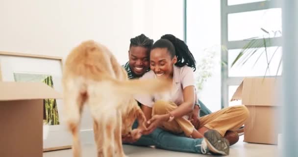 地板和盒子与狗在新的房子照顾 房地产或新的开始在房地产 非洲男人 黑人女人或宠物动物 带硬纸板包装 可移动 抵押或出租公寓 — 图库视频影像
