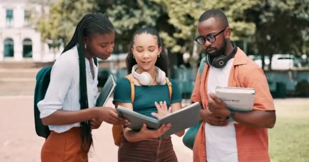 Libro Texto Conversación Estudiantes Que Estudian Parque Aire Libre Para — Vídeos de Stock