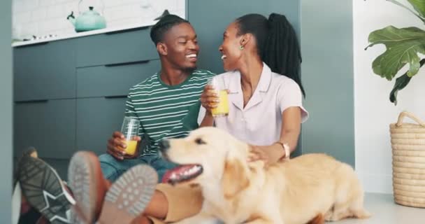 カップル 床と犬 ジュースと一緒に家で話し 愛と絆で一緒にリラックスしてください アフリカ人男性 黒人女性 健康のために飲む またはペット動物のための脳卒中とのチャットのための笑顔 — ストック動画
