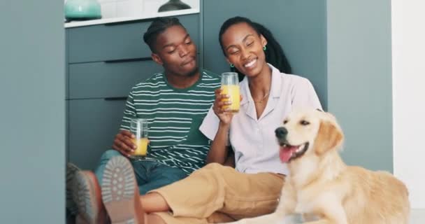 Rakkaus Onnellinen Pari Appelsiinimehua Koira Keittiön Lattialla Hoitaa Kotieläin Kotona — kuvapankkivideo