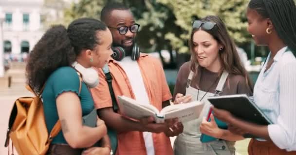 Lesboek Gesprek Vrienden Studeren Openlucht Park Voor Universiteitstest Project Examen — Stockvideo