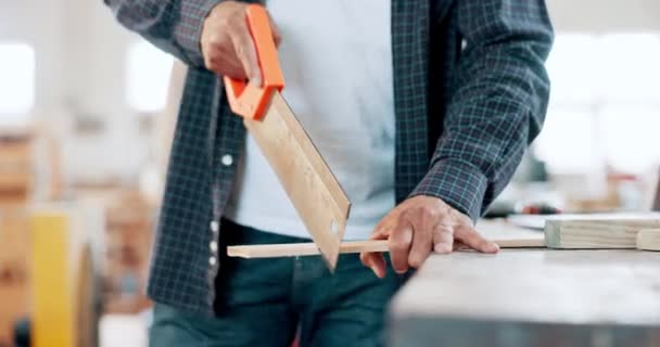 Holz Tischler Und Hände Werkstatt Mit Säge Werkzeug Und Bauprozess — Stockvideo