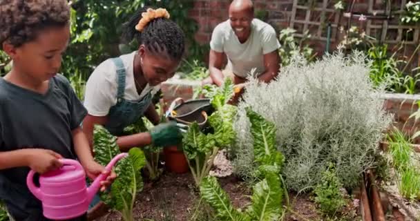 Kid Familie Tuinieren Leren Waterplanten Groenten Onderhoud Ouders Met Duurzaam — Stockvideo
