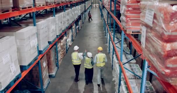 Versand Von Lagerung Und Lager Mit Lagerarbeitern Die Gemeinsam Logistik — Stockvideo
