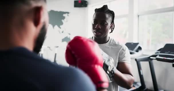 Hommes Boxeurs Entraîneurs Gymnase Pour Remise Forme Entraînement Entraînement Mma — Video