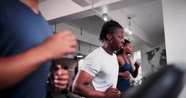 Grupo Fitness Corrida Esteira Rolante Ginásio Para Treinamento Treino Exercício — Vídeo de Stock